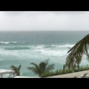 Meet your Posher, Alva